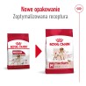ROYAL CANIN Medium Adult karma sucha dla psów dorosłych, ras średnich, do 7 roku życia 10 kg