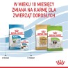 ROYAL CANIN X-Small Puppy karma sucha dla szczeniąt ras miniaturowych od 2 do 10 miesiąca życia o masie ciała do 4 kg 500g