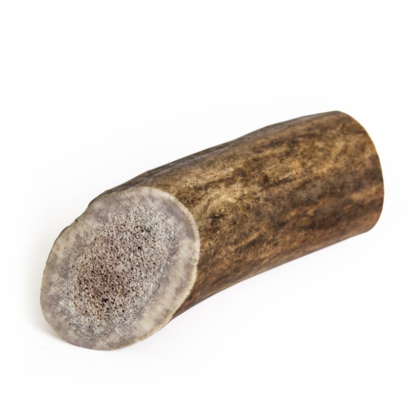 Antler dog chew/ gryzak z  poroża jelenia Rozmiar XL - ok 226 - 270 g