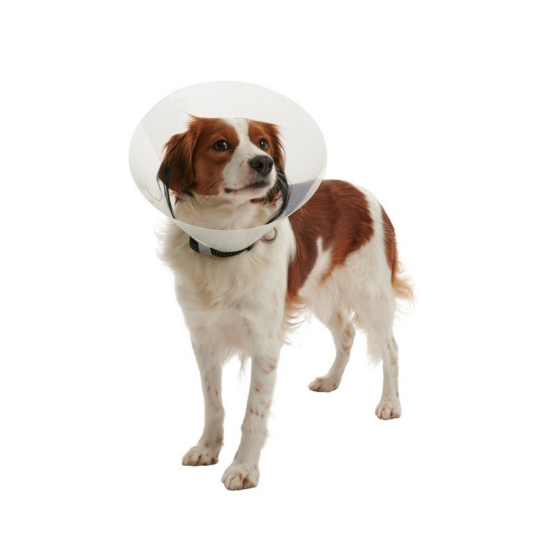 KRUUSE BUSTER Clic Kołnierz ochronny transparentny 25 cm