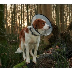 KRUUSE BUSTER Comfort Kołnierz ochronny 20 cm