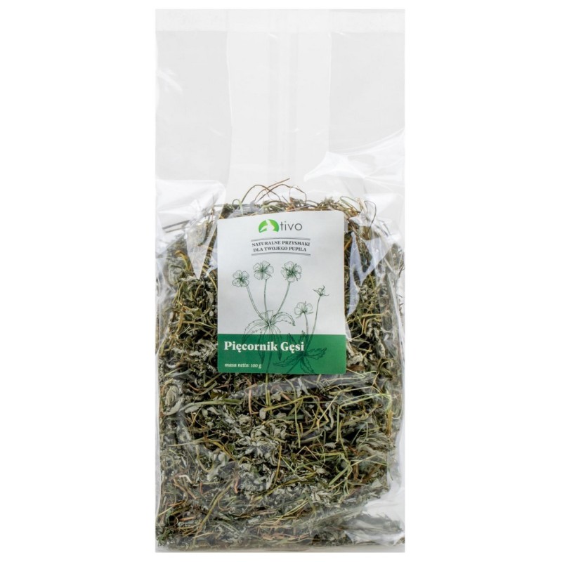 TIVO Pięciornik gęsi 100g