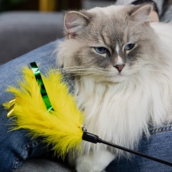 DINGO KOT Wędka z Miękkimi Piórkami - żółta