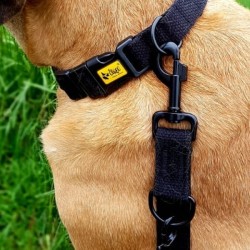 DINGO Obroża z taśmy bawełnianej - czarna 2,5 x 55 cm