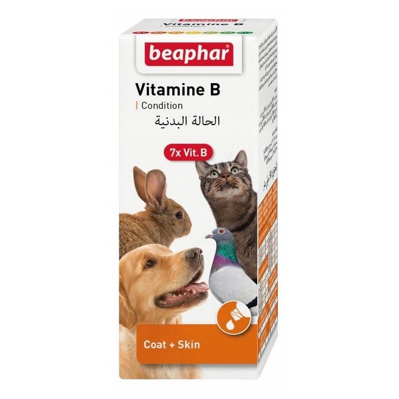 BEAPHAR Vitamin B Complex - preparat witaminowy 50ml