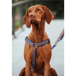 DINGO Szelki Dwupaskowe Guard WINNETOU - czerwone S