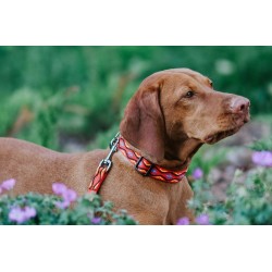 DINGO Obroża regulowna WINNETOU - czerwone S