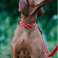 DINGO Obroża regulowna WINNETOU - czerwone M