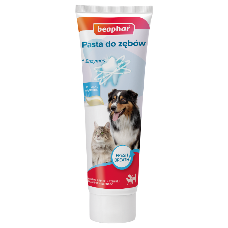 BEAPHAR Pasta do zębów dla psa i kota o smaku mięsa 100g