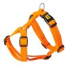 DINGO Szelki z Taśmy Dwupaskowe GUARD ENERGY dwie klamry - pomarańczowe M