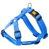 DINGO Szelki z Taśmy Dwupaskowe GUARD ENERGY dwie klamry - niebieskie S