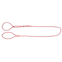 DINGO Smycz wystawowa - ringówka 0,8 / 150 cm czerwona Czerwony