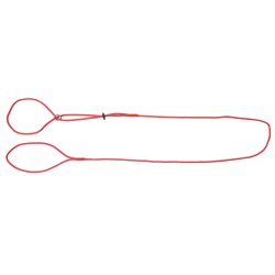 DINGO Smycz wystawowa - ringówka 0,4 / 150 cm czerwona
