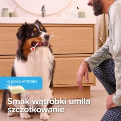 BEAPHAR Żel do mycia zębów dla psa i kota 100g