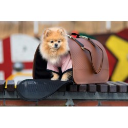 AMIPLAY Transporter New York -  Burgundowy M