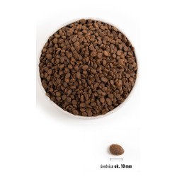 ORIJEN Regional Red Cat 5,4kg