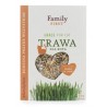 FAMILY FIRST Trawa dla kota w pojemniku 100g