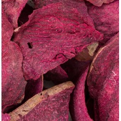 VITAPOL Powerki Burak liofilizowany dla gryzoni, królika oraz ptaków egzotycznych 20g