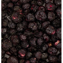 VITAPOL Powerki Borówka liofilizowana dla gryzoni, królika oraz ptaków egzotycznych 20g