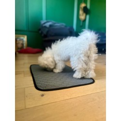 ZOLUX Mata higieniczna wielokrotnego użytku 90 x 60 cm