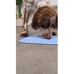 ZOLUX Silikonowa mata do lizania - niebieska 21,1 x 21,1 cm