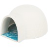 TRIXIE Igloo z płytką chłodzącą dla myszy/chomików ceramiczne 13x9x15 cm - białe