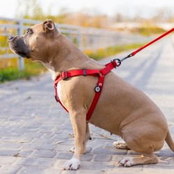 WAUDOG Waterproof szelki wodoodporne z QR-paszportem, metalowa klamra fastex - czerwony XS