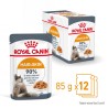 ROYAL CANIN Hair & Skin Care karma mokra w galaretce dla kotów dorosłych, lśniąca sierść i zdrowa skóra 24x 85g