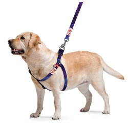 WAUDOG Nylon szelki z QR-paszportem wzór NASA21 M