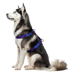 WAUDOG Nylon szelki anatomiczne w kształcie litery H z QR-paszportem  wzór NASA21 XL