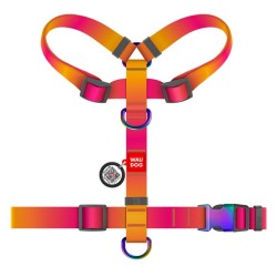 WAUDOG Nylon Recycled szelki anatomiczne w kształcie litery H z QR-paszportem gradient pomarańczowy M