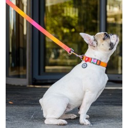 WAUDOG Nylon Recycled smycz nylonowa gradient pomarańczowa S