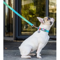 WAUDOG Nylon Recycled smycz nylonowa gradient niebieski  L-XXL