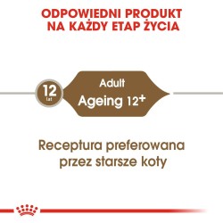 ROYAL CANIN Ageing +12 karma mokra w galaretce dla kotów dojrzałych 85g
