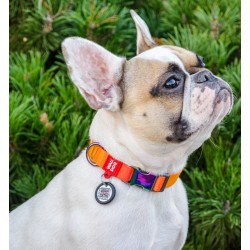 WAUDOG Nylon obroża Recycled nylonowa z QR-paszportem gradient pomarańczowy L