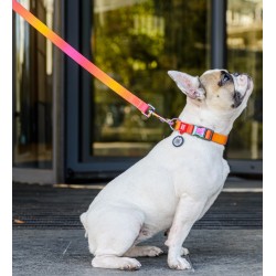 WAUDOG Nylon obroża Recycled nylonowa z QR-paszportem gradient pomarańczowy S