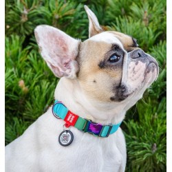 WAUDOG Nylon obroża Recycled nylonowa z QR-paszportem gradient niebieski M