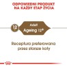 ROYAL CANIN Ageing +12 karma mokra w galaretce dla kotów dojrzałych 12x 85g