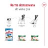 ROYAL CANIN Mini Adult karma mokra, pasztet dla psów dorosłych, ras małych 195g