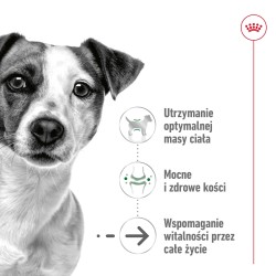 ROYAL CANIN Mini Ageing 8+ karma mokra, pasztet dla psów dojrzałych od 8 roku życia, ras małych 195g