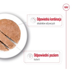 ROYAL CANIN Mini Ageing 8+ karma mokra, pasztet dla psów dojrzałych od 8 roku życia, ras małych 195g