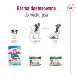 ROYAL CANIN Mini Ageing 8+ karma mokra, pasztet dla psów dojrzałych od 8 roku życia, ras małych 195g