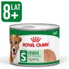 ROYAL CANIN Mini Ageing 8+ karma mokra, pasztet dla psów dojrzałych od 8 roku życia, ras małych 195g