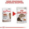 ROYAL CANIN Ageing +12 karma mokra w galaretce dla kotów dojrzałych 24x 85g