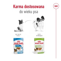 ROYAL CANIN X-Small Adult karma mokra w sosie dla psów dorosłych, ras miniaturowych do 4 kg 48x 85g