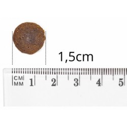 BALTICA SMAKI REGIONÓW Junior Jagnięcina z cielęciną duże rasy 1 kg