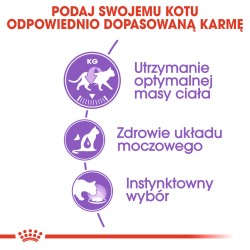 ROYAL CANIN Sterilised Jelly karma mokra w galaretce dla kotów dorosłych, sterylizowanych 12x 85g