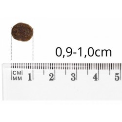 BALTICA NUTRACEUTIC Hypoallergenic Lamb and Rice dla psów ras małych 1 kg