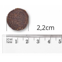 BALTICA EXCELLENT Adult Sensitive Baltic Fish dla dużych ras 12kg