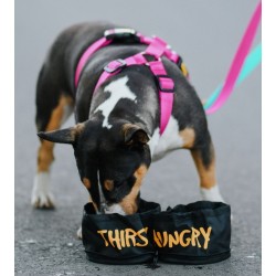 DINGO Miska podróżna Magellan skladana 2 x 1,73l